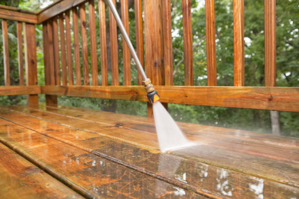 Best Building Exterior Washing  in La Porte, TX